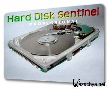 Hard Disk Sentinel Pro v3.60.4810 Multilingual