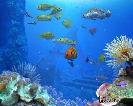 DigiFish AquaReal v2 v1.04a