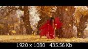 / Ying xiong (2002) Blu-ray + Remux + 1080p + 720p + DVD5 + HQRip