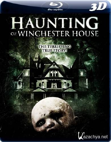     3D / Haunting of Winchester House in 3D (2009/BDRip/720p)