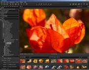 Phase One Capture One Pro 6.2.49045 / x86-x64