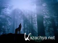 Selected wallpapers - ���� ��� �������� �����