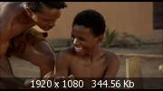   / Cidade de Deus (2002) Blu-ray + Remux + 1080p + 720p + DVD9 + HQRip