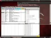 BackTrack 5 GNOME [i386 + x86, x64] (2xDVD)