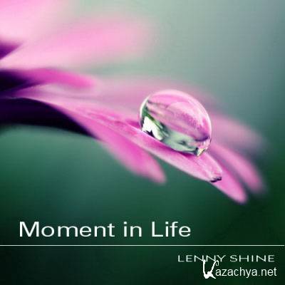 Moment in Life by Lenny Shine (2011)