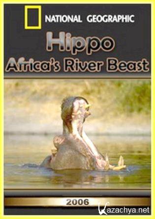 :     / Hippo: Africa's River Beast (2006) SATRip(HDRip)