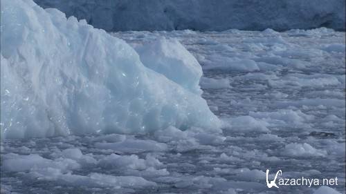  :   / Climate Change: Our Planet - The Arctic Story (2011) BDRip 720p