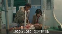   / Battle Royale (2000) BD Remux + 1080p + 720p + DVD9 + HQRip