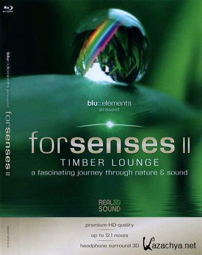        / Forsenses II. Timer Lounge (2011) DVDRip