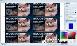 BusinessCards MX v4.3 + (2011/MULTI/RUS)