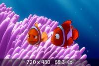    / Finding Nemo (2003) HD 1080p + 720p + DVD9 + HQRip