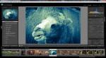 Adobe Photoshop Lightroom 3.4.1 Final (x32/x64) [Multi + ] + 