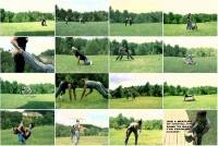    / Elite Combat Fitness 6 DVD (2006) DVDRip