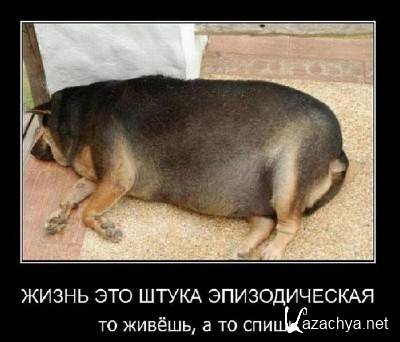 �������� �������������(28.05.11)