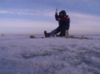 От осеннего воблера до зимнего балансира / Рыболов Elit. Видеоприложение № 40 (2005) DVDRip От осеннего воблера до зимнего балансира / Рыболов Elit. Видеоприложение № 40 (2005) DVDRip