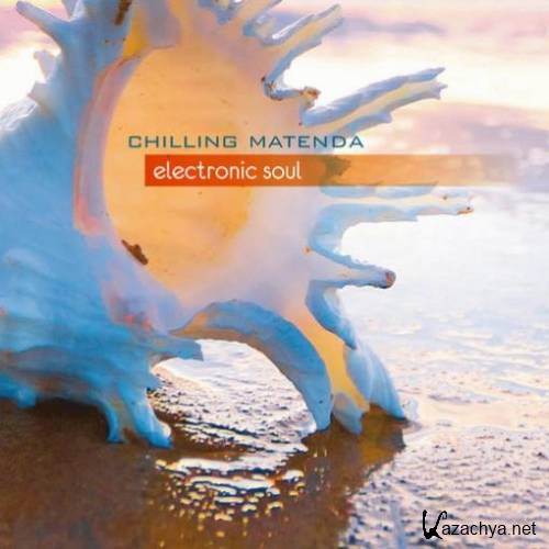 Chilling Matenda - Electronic Soul 2011 (FLAC)