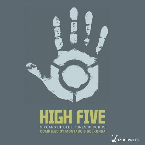 VA - High Five  5 Years Of Blue Tunes Records 2011 (FLAC)