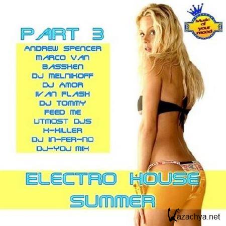 Electro House Summer Part 3 (2011)