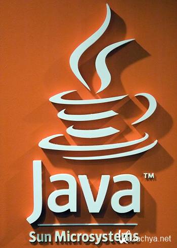 Java SE Runtime Environment  6u26 [x86/x64]
