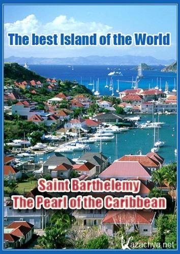   .   / The Pearl of the Caribbean (2009) SATRip