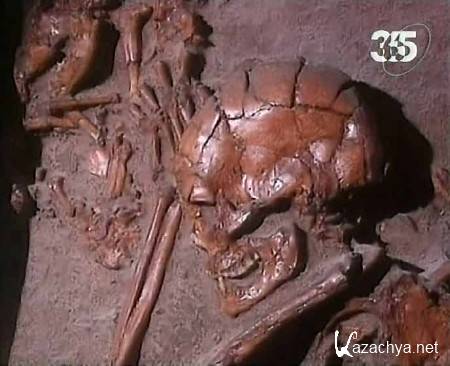  .   / Ancient mysteries. The Fate of Neandertals (2010/TVRip)