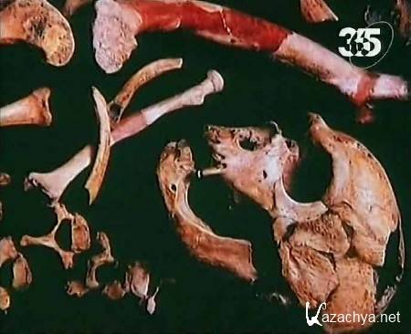  .   / Ancient mysteries. The Fate of Neandertals (2010/TVRip)