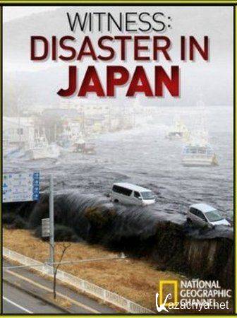    / Witness : Disaster in Japan (2011) SATRip