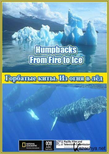  .     / Humpbacks. From Fire to Ice (2008) SATRip