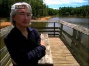 BBC: ����� / Time (2007) SATRip (4 ����� �� 4)