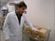 BBC: ����� / Time (2007) SATRip (4 ����� �� 4)