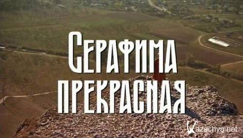 �������� ���������� / �����: 1 - 12 �� 12 (2010/SATRip)