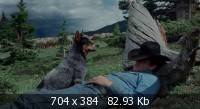   / Brokeback Mountain (2005) HD Remux + 1080p + 720p + DVD5 + HQRip