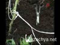 ��������� �������: �������� � ������� (2011) SATRip 