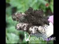 ��������� �������: �������� � ������� (2011) SATRip 