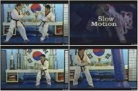    / Complette Taekwondo Kicking (2011) DVDRip