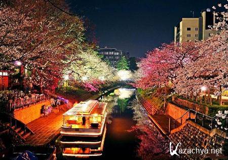 ���� ��� � ��������� ������������ #5  - (2011)  JPEG