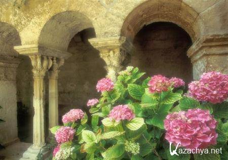 ���� ��� � ��������� ������������ #5  - (2011)  JPEG