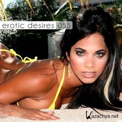 VA - Erotic Desires Volume 055 (2011).MP3