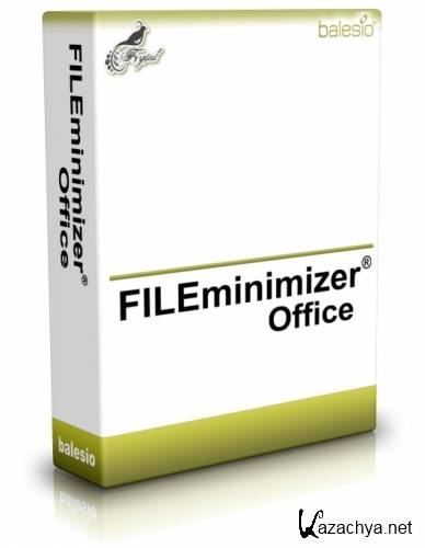 FILEminimizer Office v6.0 (ML/Eng)
