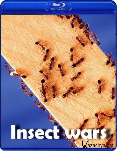   / Insect wars (2005) HDTVRip