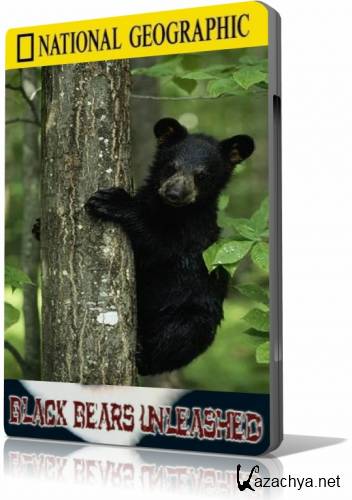    / Black bears unleashed (2008) SATRip