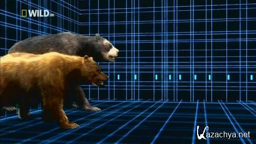  .   / Short-Faced Bear (2009) HDTVRip