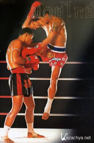     / The Noble Art of Muay Thai Vol.1-11 (2004) DVD5