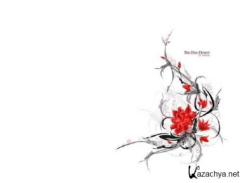 ���� ���������� � �������.