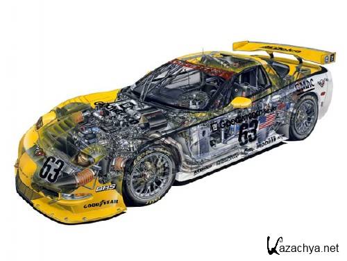 ���������� � ��������� ��������������