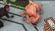 UFC 132: Cruz vs. Faber (2011/HDTVRip)