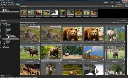 ACDSee PRO 4.0.237 ACDSee PRO 4.0.237