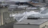   -   / Japan Disaster Caught On Camera (2011) SATRip