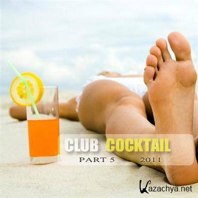 VA - Club Cocktail Part 5 (2011).MP3