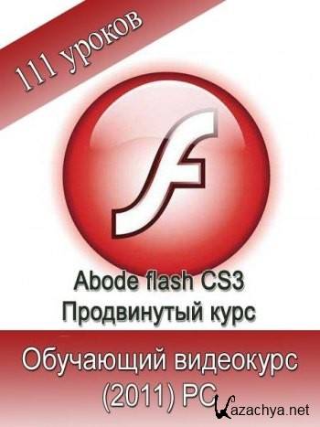 Adobe Flash CS3.  